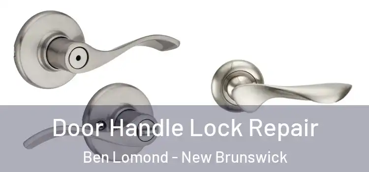 Door Handle Lock Repair Ben Lomond - New Brunswick