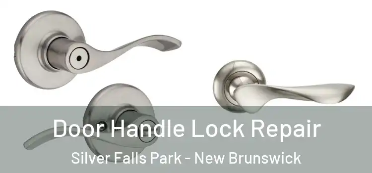 Door Handle Lock Repair Silver Falls Park - New Brunswick