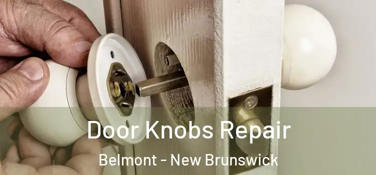 Door Knobs Repair Belmont - New Brunswick