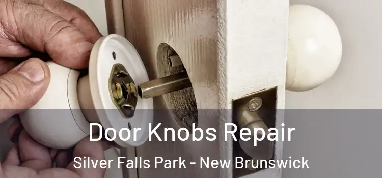 Door Knobs Repair Silver Falls Park - New Brunswick