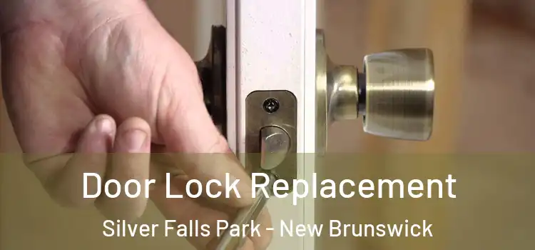 Door Lock Replacement Silver Falls Park - New Brunswick