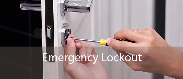 Emergency Lockout 