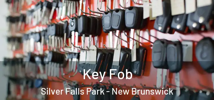 Key Fob Silver Falls Park - New Brunswick