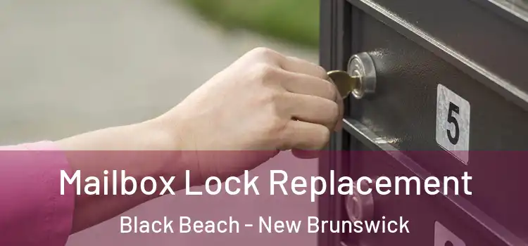 Mailbox Lock Replacement Black Beach - New Brunswick