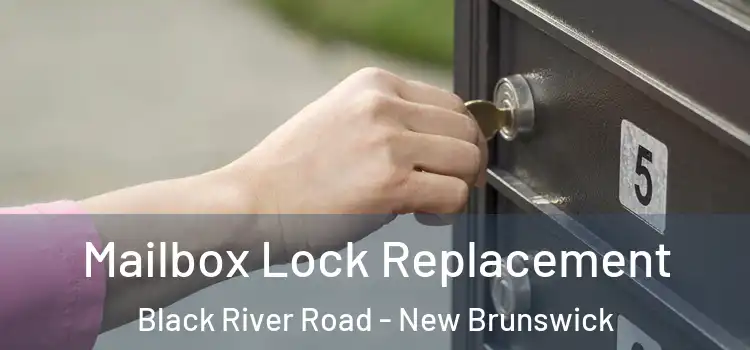 Mailbox Lock Replacement Black River Road - New Brunswick