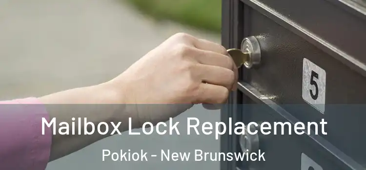 Mailbox Lock Replacement Pokiok - New Brunswick