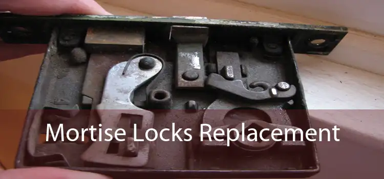 Mortise Locks Replacement 