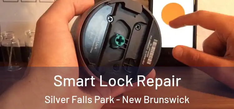 Smart Lock Repair Silver Falls Park - New Brunswick